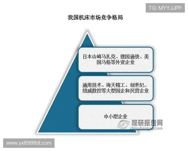 亚星游戏在国内外市场的布局与竞争优势详尽介绍