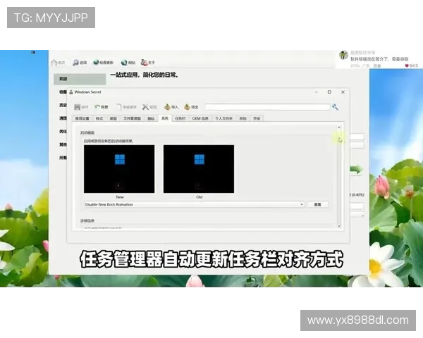 亚星浏览器下载安装后常见问题及优化设置，提升浏览速度与安全性